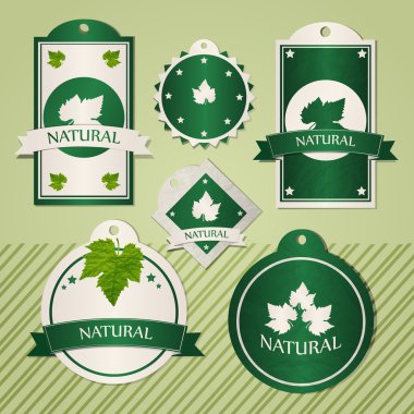 Collection of natural frames. Vector illustration. clipart