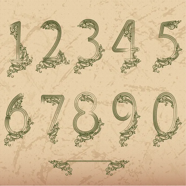 Ensemble Nombres Vectoriels Flore — Image vectorielle