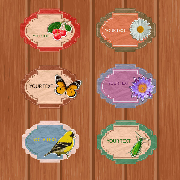 Set of 6 various frames vector