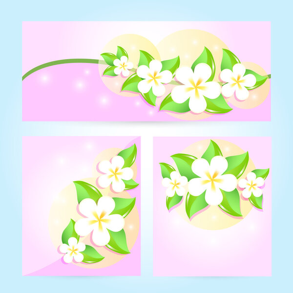 Набор векторов рамок флоры
