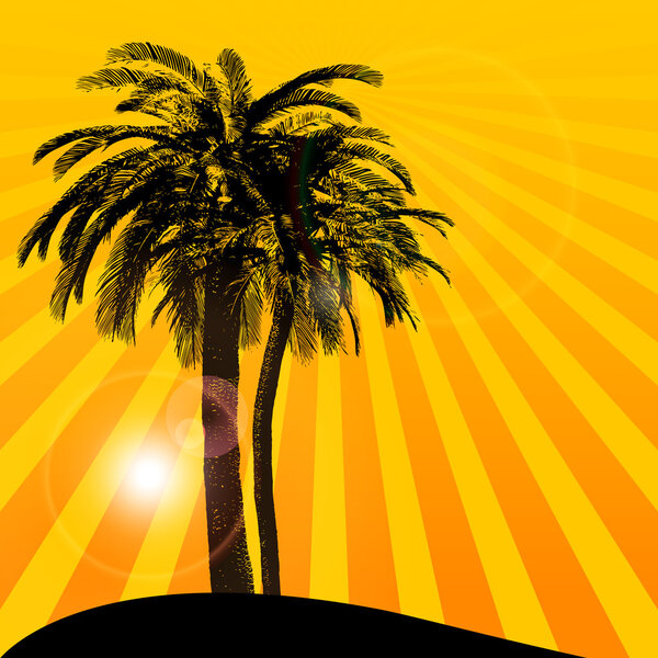 Orange background with palm tree