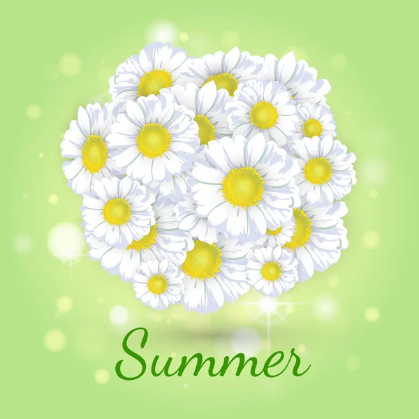 绿色背景上的雏菊花束 — 图库矢量图片