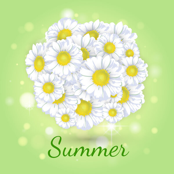 Bouquet of daisies on a green background