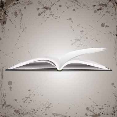 Vektör çizim vektör açık kitap