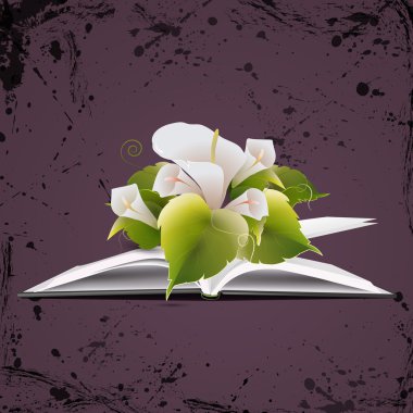 vektör çiçekli açık kitap