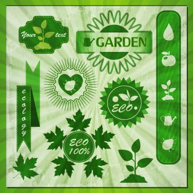 Eco labels with retro vintage design. clipart