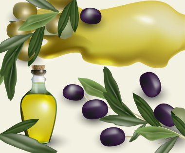 olive food tasty  vector illustration   clipart