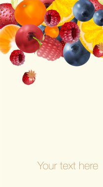 tasty fruits vector illustration   clipart