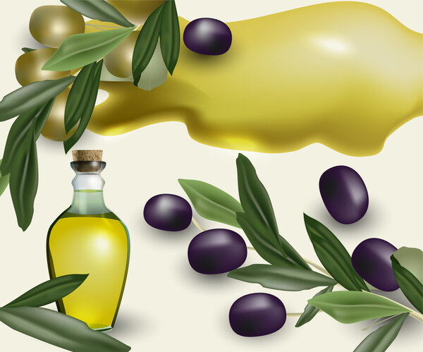 olive food tasty  vector illustration  