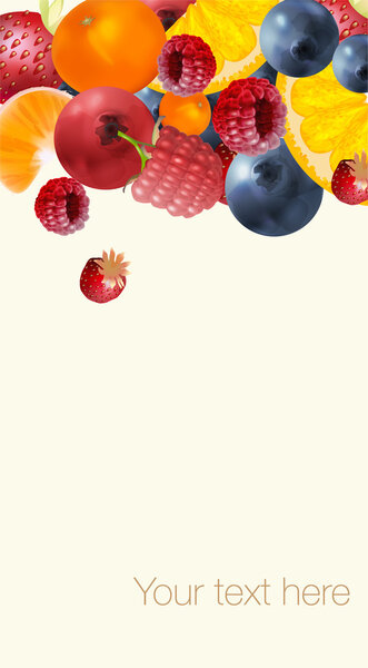 tasty fruits vector illustration  
