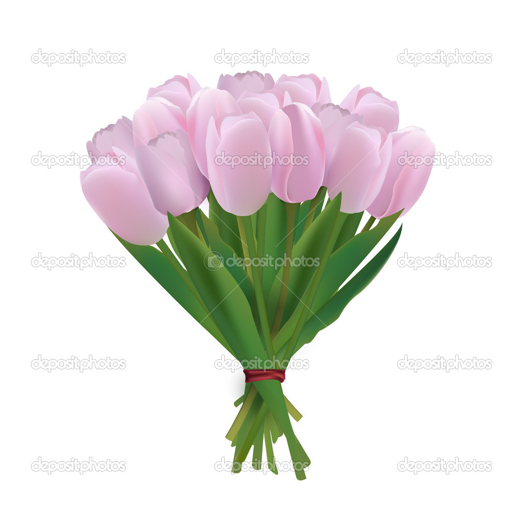 Vector bouquet of tulips