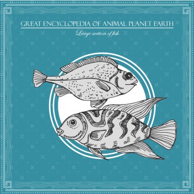 Great encyclopedia of animal planet earth, vintage fishes illustration clipart