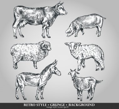 Evcil hayvan inek, koyun, domuz, keçi, eşek kümesini. vektör çizim