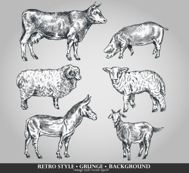 Set of domestic animals cow, sheep, pig, goat, donkey. Vector illustration clipart