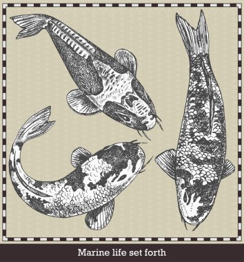 Set of fish. Retro style vector illustration. Isolated on grey background clipart