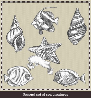 Set of sea fish,seashell and starfish. Retro style vector illustration. Isolated on grey background clipart