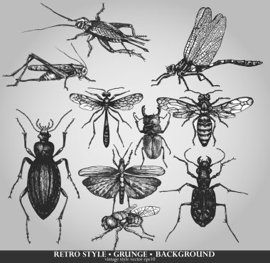 Vector set of insects on grunge background clipart
