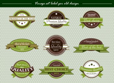 Vector vintage set label for old design on green clipart