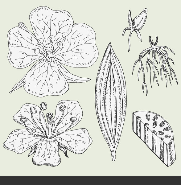 Independence Day postcard design