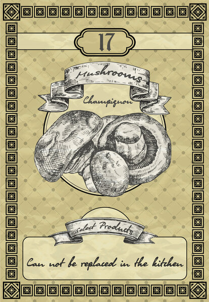 Kitchen banner with champignon mushrooms. Vintage style vector illustration