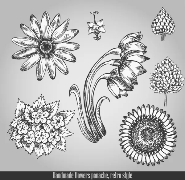 Handgjorda Blommor Elegans Vektor Illustration Retrostil — Stock vektor