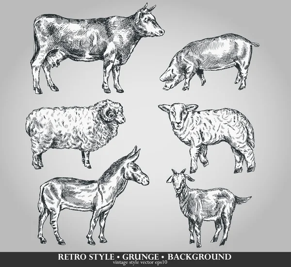 Sada Domácí Zvířata Krávy Ovce Prase Koza Osel Vektorové Ilustrace — Stockový vektor