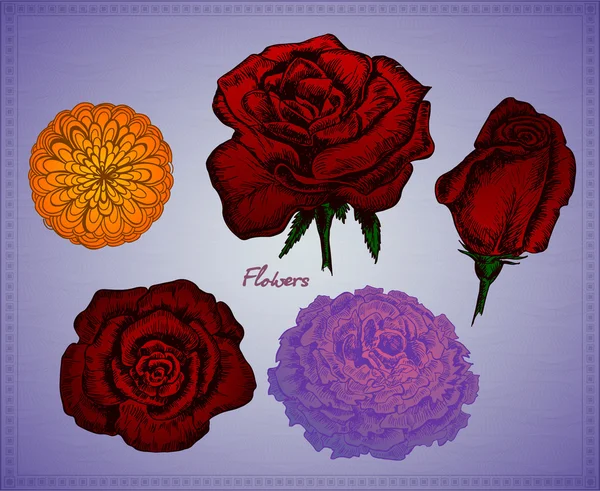 Conjunto Vectorial Flores Sobre Fondo Violeta — Archivo Imágenes Vectoriales