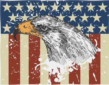Eagle on usa flag background. Vintage style. vector illustration clipart