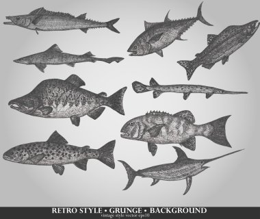 Set of sea fishes. Retro style vector illustration clipart