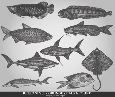 Set of sea fishes. Retro style vector illustration clipart
