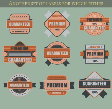 Set of retro vector labels and badges clipart