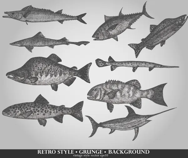 海の魚を設定します レトロなスタイルのベクトル図 — ストックベクタ