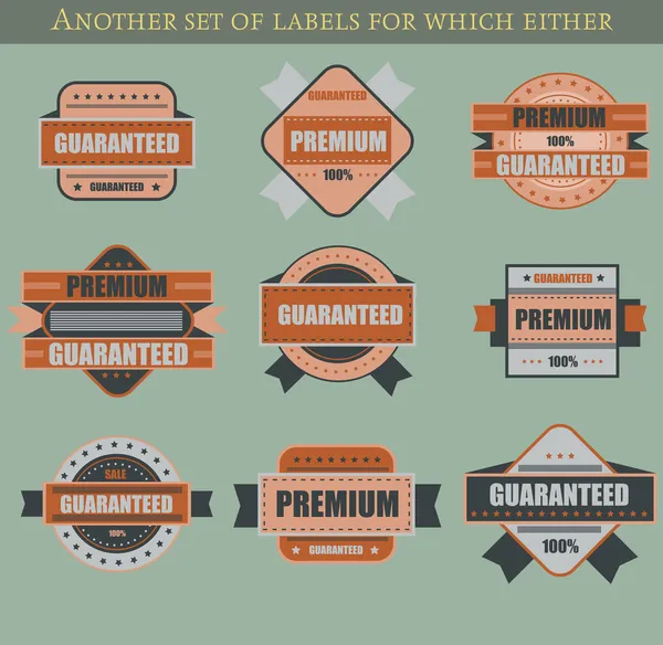 Conjunto Etiquetas Vectores Retro Insignias — Archivo Imágenes Vectoriales
