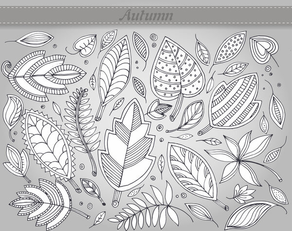 Vector set of autumn leafs illustration