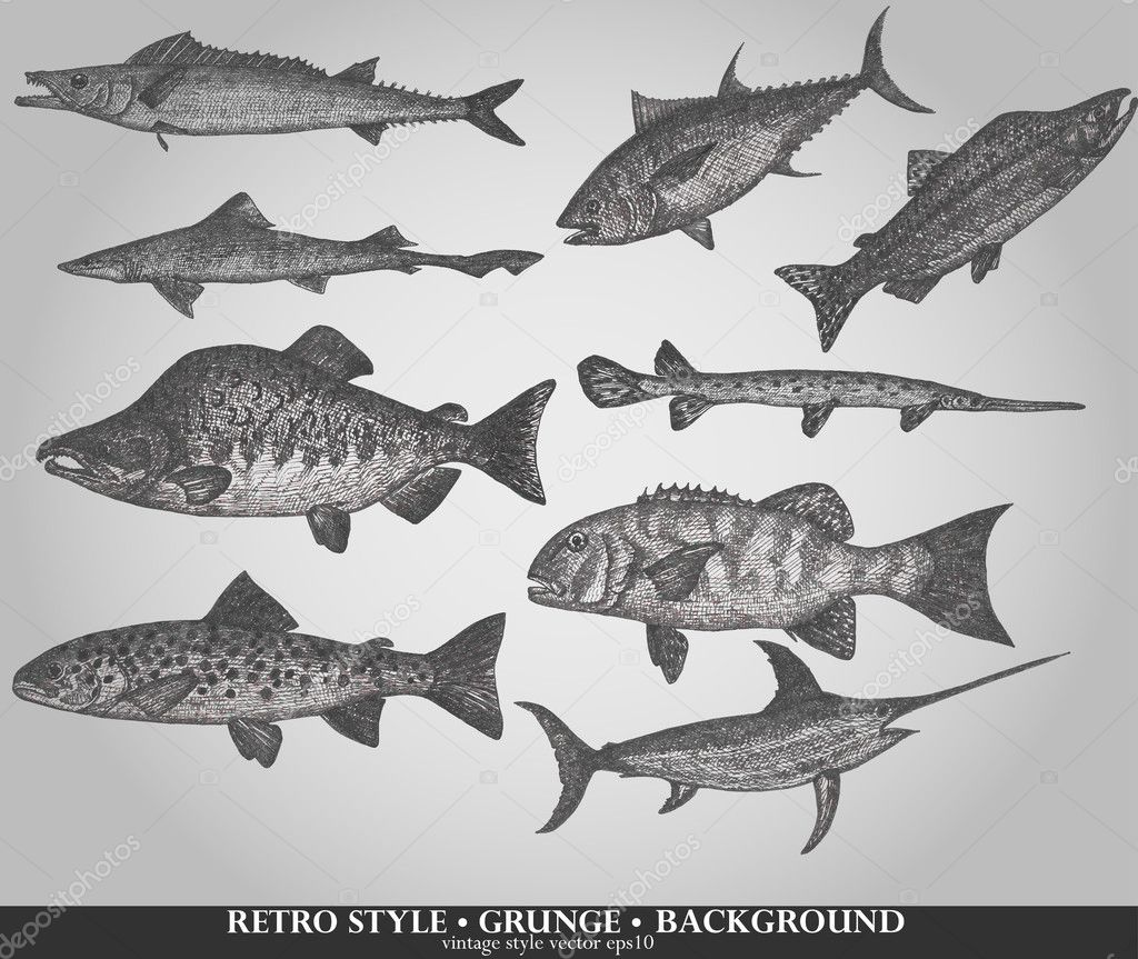 Set of sea fishes. Retro style vector illustration