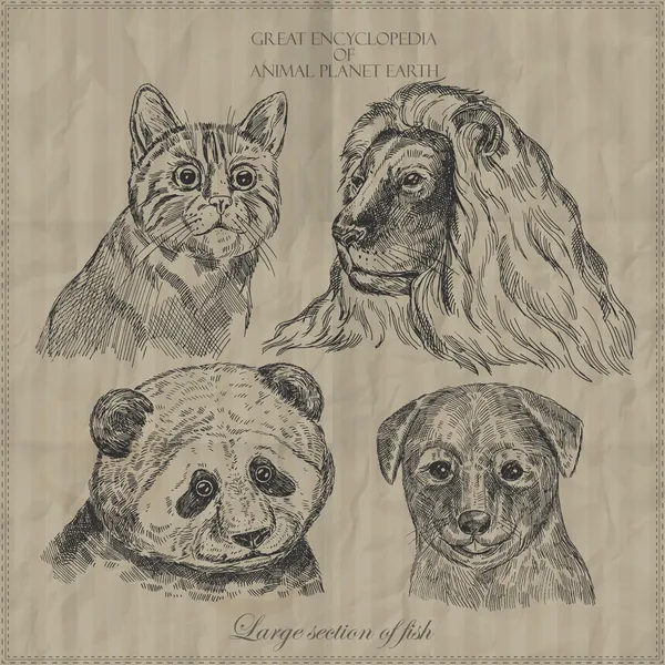 动物插图从百科全书的集合 — 图库矢量图片