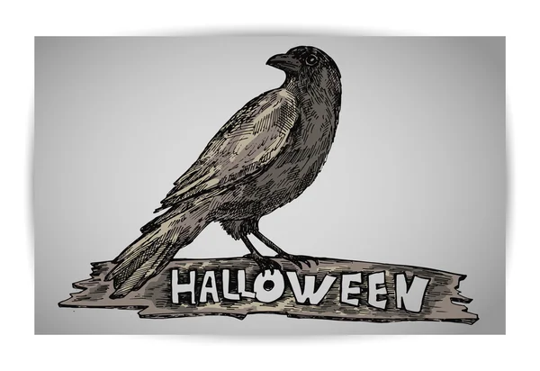 Corvo Halloween Fundo Cinza Ilustração Vetorial —  Vetores de Stock