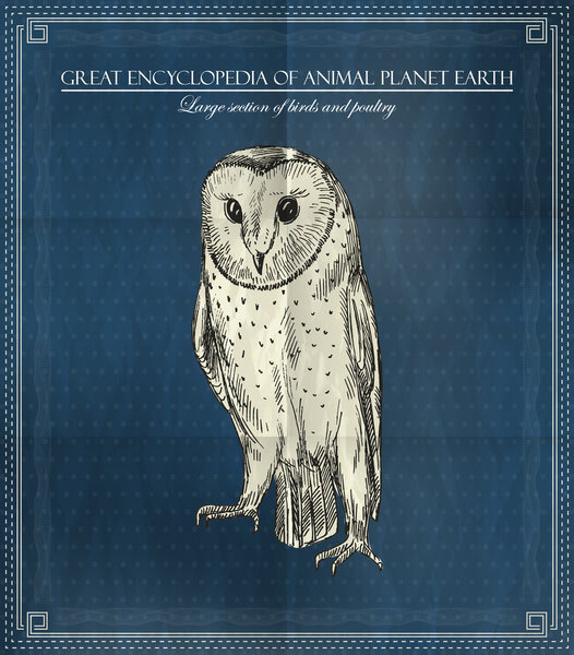 Vector owl from Great Encyclopedia of Animal Planet Earth on blue background