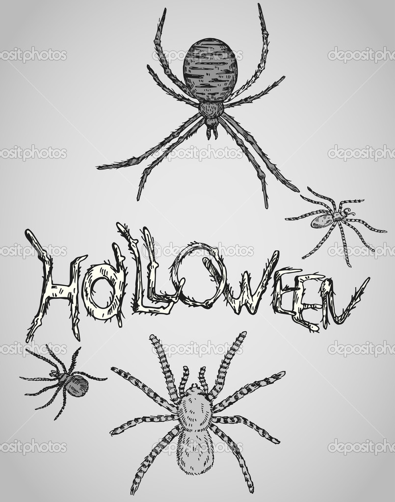 Araignee Halloween Images Vectorielles Araignee Halloween Vecteurs Libres De Droits Depositphotos