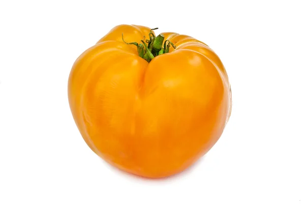 西红柿 图库图片
