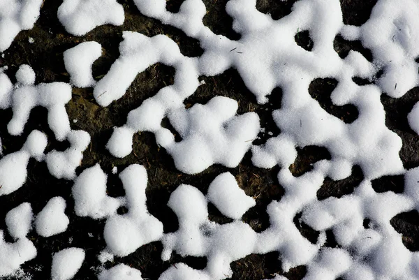 Zuerst lizenzfreie Stockfotos