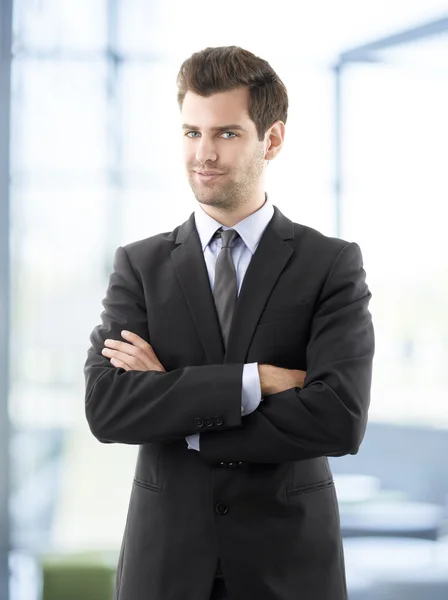 Portret van professionele lachende zakenman — Stockfoto