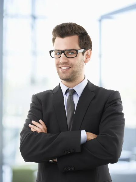 Portret van professionele lachende zakenman — Stockfoto