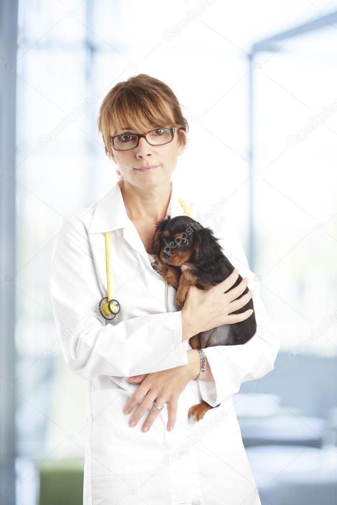 Young Puppy Dog and a Female Veterinarian