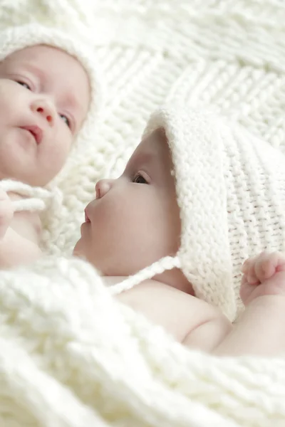 Bebés gemelos recién nacidos — Foto de Stock