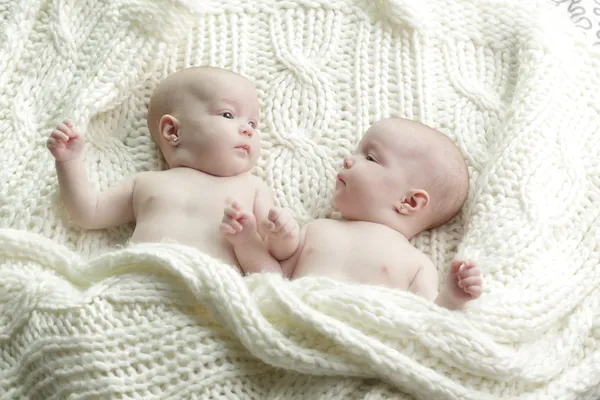 Newborn twins babies — Stock Photo, Image