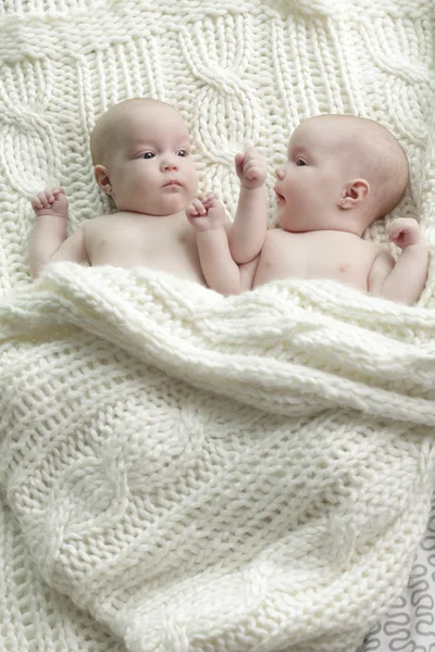 Bebés gemelos recién nacidos — Foto de Stock