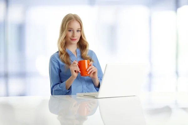 Mulher bonita com laptop — Fotografia de Stock