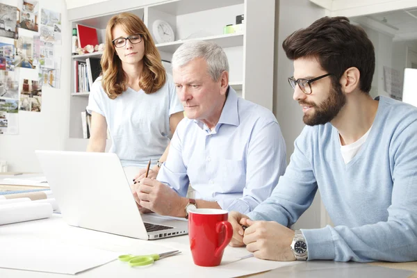 Affärskollegor som arbetar på bärbar dator — Stockfoto