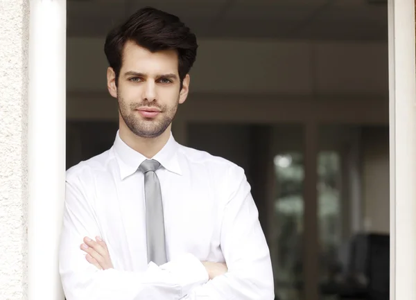 Professional young businessman — Stock Photo, Image